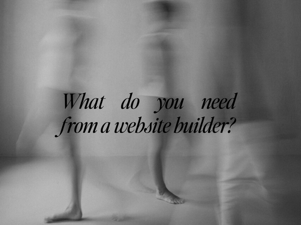 Text saying What do you need from a website builder?